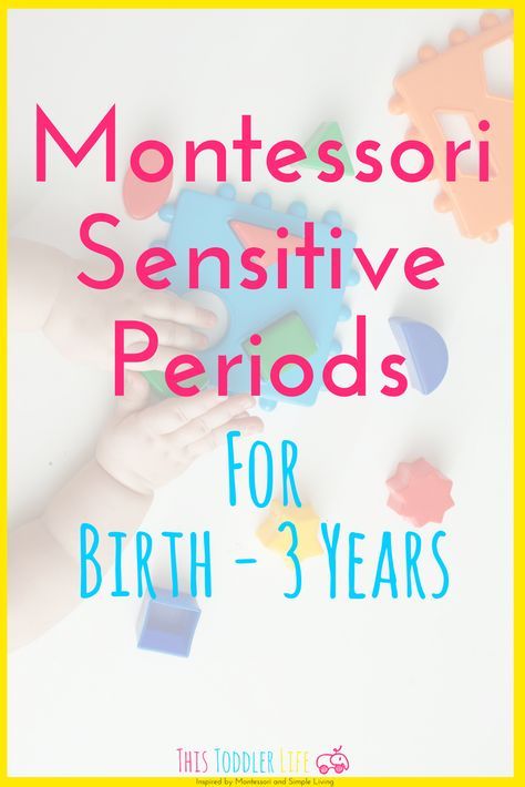 What Is Montessori Education, Caroline Collins, Montessori Basics, Montessori Guide, Sunflower Favors, Montessori Principles, Elementary Montessori, What Is Montessori, Montessori Infant