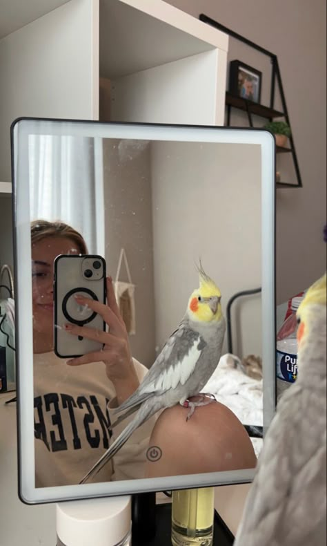 Pet Bird Aesthetic Cage, Cockatiels Aesthetic, Parrot Pet Aesthetic, Aesthetic Cockatiel, Pet Cockatiel, Bird Pet Aesthetic, Aesthetic Bird Cage, Pet Bird Aesthetic, Bird Pet