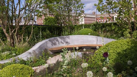 The Jo Whiley Scent Garden Jo Whiley, Sensory Corner, Raised Pools, Vines Texture, Scent Garden, Rhs Chelsea Flower Show, Corner Garden, Sea House, Conifer Trees