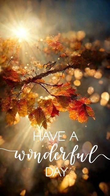 Have a wonderful day Happy Saturday Morning Quotes, Have A Wonderful Day Images, Good Morning Fall Quotes, Have An Amazing Day Quotes, Have A Wonderful Day Quotes, Have A Beautiful Day Quotes, Enjoy Your Day Quotes, Have A Nice Day Quotes, Have A Great Day Quotes