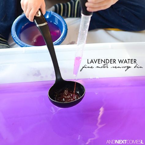 Lavender water fine motor sensory bin for toddlers and preschoolers from And Next Comes l Play School Ideas, Heavy Work Activities, Sensory Bin For Toddlers, Sensory Bins For Toddlers, Gestalt Language Processing, Dyed Rice, Winter Sensory Bin, Sensory Water, Light Table Activities