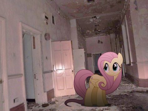 Fluttershy In Asylum, Creepy Cute Icons, Mlp Fluttershy Icon, Fluttershy Icon, Mlp Fluttershy, Horror Photos, My Lil Pony, My Little Pony Characters, Mlp Pony