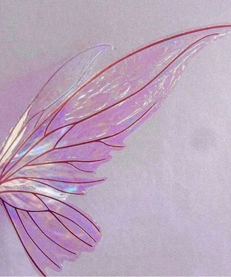 Aesthetic Wings, Fairy Wings Aesthetic, Diy Fairy Wings, Butterfly Fairy Wings, Wings Wallpaper, Diy Wings, Fairy Aesthetic, Butterfly Fairy, Diy Fairy