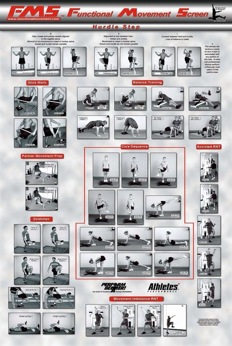 Functional Movement Screen - Hurdle Step Athletic Massage, Adductor Workout, Functional Training Workouts, Weight Routine, Primal Movement, Weight Training Routine, Functional Movement, Functional Testing, Deep Squat