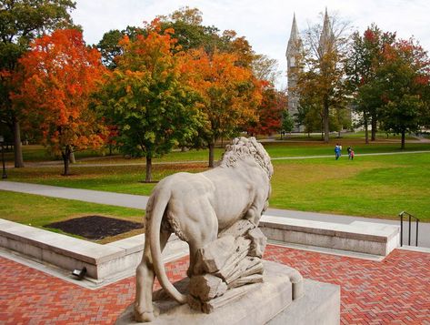 Learn about the Top 9 Colleges and Universities in Maine: Bowdoin College Places To Visit In Maine, Brunswick Maine, Arts And Crafts Interior Design, Bowdoin College, Liberal Arts College, College Search, College Of Charleston, Maine Vacation, College Admissions