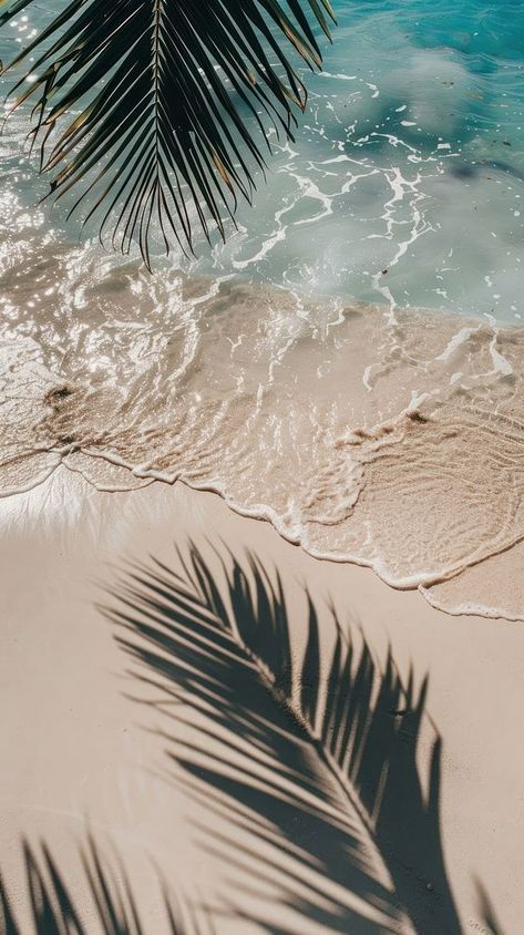 Cool Summer Backgrounds, Neutral Summer Wallpaper, Tropical Background Aesthetic, Ipad Beach Wallpaper, Pretty Beach Wallpapers, Summer Lock Screen Wallpaper, Iphone Summer Wallpaper, Wallpaper Iphone Beach, August Wallpaper Aesthetic