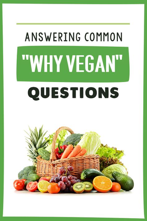 Answering Common Why Vegan Questions - tips for making the transition and understanding it's benefits Tips For Shifting, Runner Diet, Recipes Tacos, Vegan Runner, Running Nutrition, Meat Eater, Vegan Tips, Why Vegan, Going Vegetarian