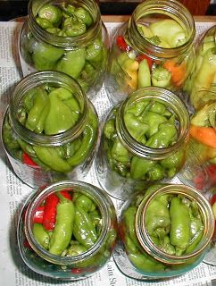 Canning Pepperoncini Peppers, Peppers Pickled, Pickled Pepperoncini, Pickled Pepper Recipe, Hot Banana, Recipes With Banana Peppers, Canning Peppers, Hot Banana Peppers, Hot Pepper Recipes