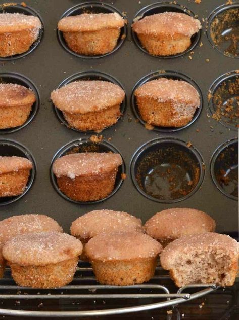 These gluten-free Muffins That Taste Like Donuts really do taste like donuts! They are mini muffins that taste like Grandma's gluten-full cinnamon-sugar coated donut holes from back in the day! One of 20 gluten-free muffin recipes featured on gfe for March Muffin Madness. Gluten Free Donut Muffins, Egg Free Donuts, Gluten Free Breakfast Muffins, Mini Donut Recipes, Gf Cake, Mini Muffin Recipe, Gf Sweets, Gluten Desserts, Dairy Free Treats