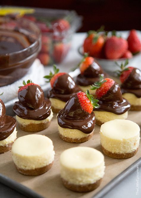 Chocolate Dipped Strawberry Cheesecake Dolci Finger Food, Tårta Design, Chocolate Strawberry Cheesecake, Dessert Party, Chocolate Dipped Strawberries, Strawberry Dip, Cheesecake Bites, Mini Cheesecakes, Chocolate Strawberry