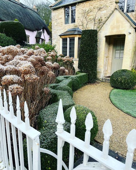 Emma Sims-Hilditch on Instagram: “The hydrangea Annabelles still standing proud but getting ready for their spring pruning!” Sims Hilditch, English Country House Style, February 8, English Country House, Country Style Homes, Still Standing, Front Garden, Getting Ready, Country House