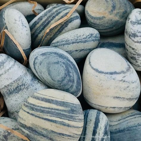 "20 Unique Striated (multi-striped) Maine Beach Stones - ½-1\" You will receive an assortment of 20 beautiful Maine beach stones, each with vivid and dramatic stripes. These exceptional stones are soooo silky smooth after being tumbled by the surf of the rocky Maine coast for thousands of years! Add an aqua wooden crate and craft crinkle shredded paper to give these lovely stones as a gift. **The images shown in this listing, are examples only. You will receive a very similar collection of stone Maine Beach, Maine Beaches, Garden Rocks, Beach Wood, Beach Rocks, Rock Decor, Beach Stones, California Beach, Rock Collection