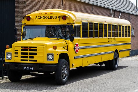 School bus? I do not know this does not have warning lights? School Bus Design, Bus Sekolah, 4x4 School Bus, School Bus Pictures, School Bus Side View, Bus Transportation, Bus School, Retro Bus, Bus City