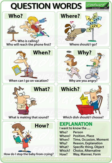 Question Words in English - Who When What Why Which Where How Woodward English, Question Words, English Teacher Resources, English For Beginners, Learning English For Kids, Wh Questions, English Worksheets For Kids, Kids English, English Lessons For Kids