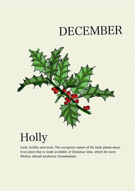 Holly Meaning, Flower Of December, Flowers Symbolism, Flower Vine Tattoo, Facts About Plants, Flower Vine Tattoos, December Flower, Holly Flower, Flower Dictionary