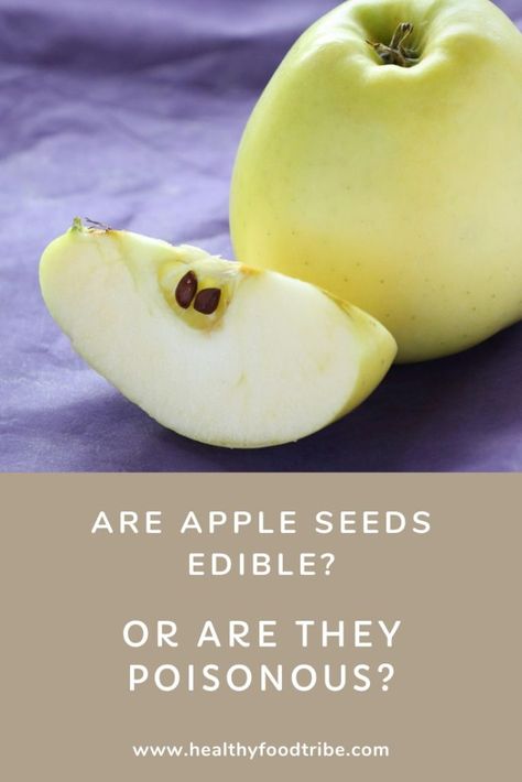 Can You Eat Apple Seeds? Apple Seeds, Nutritional Value, Healthy Nutrition, Nutrition Tips, Pear, Seeds, Nutrition, Benefits, Healthy Recipes