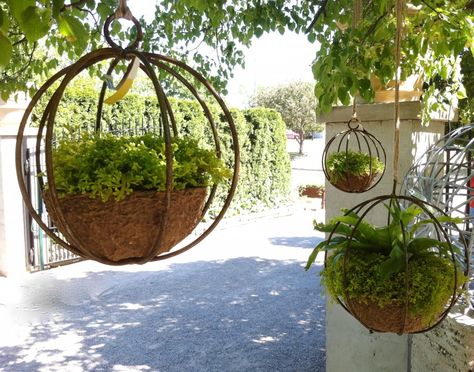 Hanging Sphere Planters, Round Hanging Planter, Garden Spheres Ideas, Garden Spheres Landscaping, Garden Focal Point Ideas, Hanging Garden Art, Hanging Planter Ideas, Garden Orbs, Michigan Garden