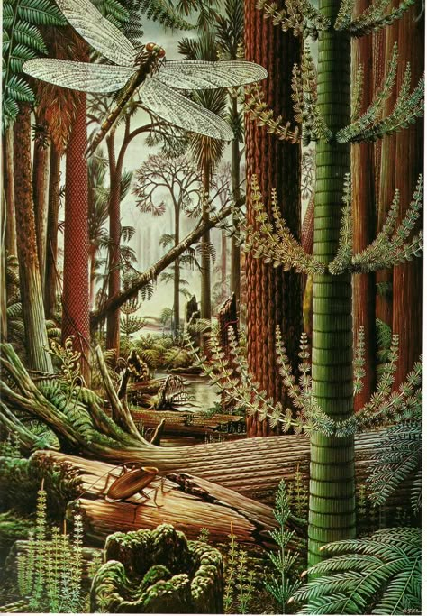 Swampy Forest, Prehistoric Plants, Carboniferous Period, Paleozoic Era, Forest Book, Prehistoric Wildlife, Book Page Art, Prehistoric World, Prehistoric Art