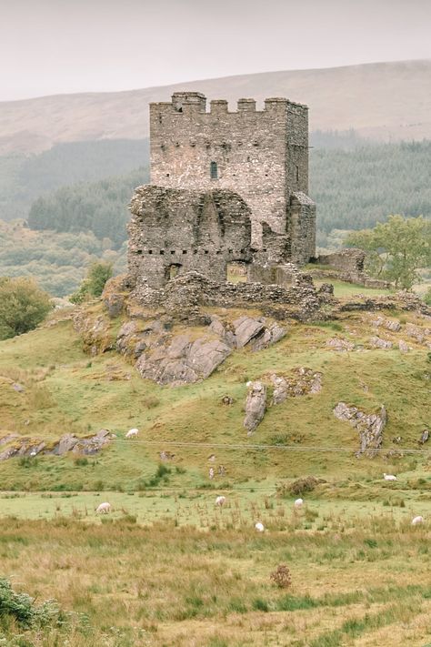 12 Best Castles In Wales To Visit - Hand Luggage Only - Travel, Food & Photography Blog Wales Castle, Things To Do In Wales, Wales Photography, Welsh Landscape, Uk Castles, Welsh Castles, Honeymoon Photography, Castles In Wales, British Castles