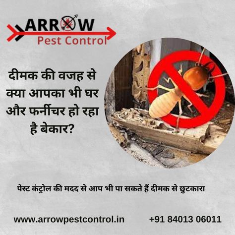 Arrow pest control use Termidor for termite control and it is the most popular Termicide from Surat as chemical used for termite control. Termidor gives 100% results and its effectiveness against termites is excellent which also provides termite elimination. Visit our website.https://arrowpestcontrol.in/. Contact us (+91) 84013 06011 Termite Control, Digital Marketing Design, Pest Control Services, Marketing Design, Pest Control, Most Popular