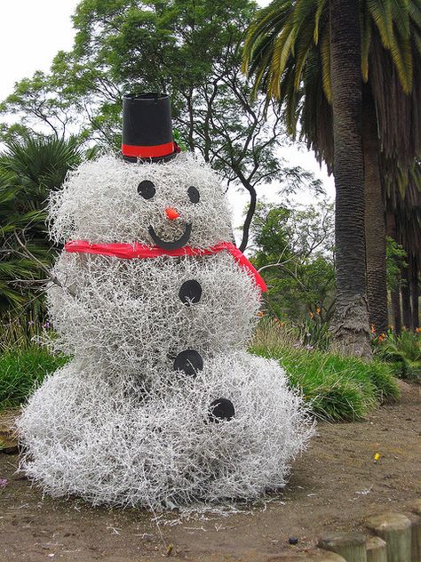 We do have tumbleweed around here. I if I can make it next year I'll try to make one. We would soo decorate the house inside and out. Now and with my health we haven't done it for a number of years   akt   Tumbleweed "Snowman" Tumbleweed Snowman, Tumble Weeds, Elysian Park, Snowmen Ornaments, White Spray Paint, Home On The Range, Build A Snowman, Winter Magic, Winter Garden