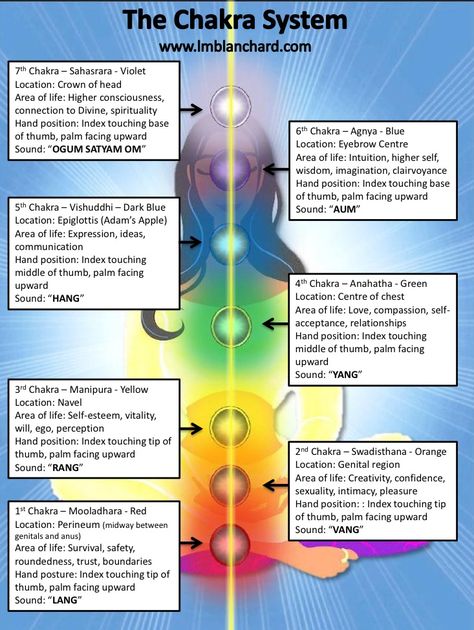 Chakra System.- ... The chakras are located along the length of the spine starting at the base of the spine, in the sacral region, and travels all the way up to the crown of the head. Each chakra holds a specific frequency which can be associated to a specific colour and sound wave. ... Crown Chakra Symbol, Chakra Locations, Health Chart, Chakra Symbols, Energy Healing Reiki, Chakra System, Sound Wave, Chakra Yoga, Body Energy