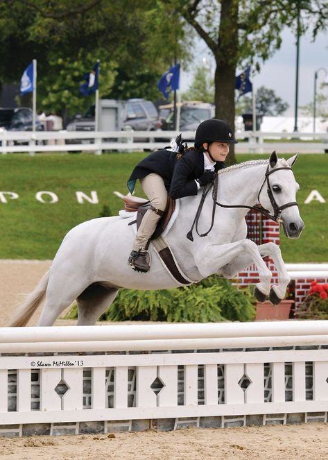 Pony Finals Aesthetic, Pony Hunters, Hunter Jumper Aesthetic, Hunt Seat Equitation, Connemara Pony, Hunter Horse, Show Jumping Horses, Cute Ponies, Hunter Jumper