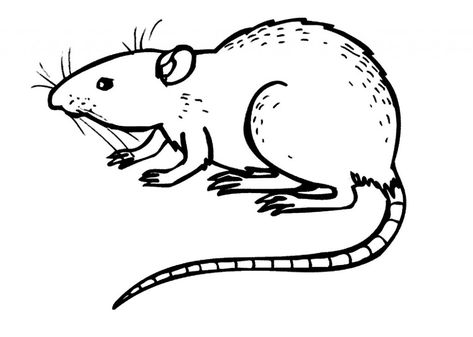 Free Printable Rat Coloring Pages For Kids Rat Coloring Pages, Hippo Coloring Pages, Rat Drawing, Cartoon Rat, Animal Outline, Bee Coloring Pages, Shark Coloring Pages, Drawing Template, Drawing Sheet