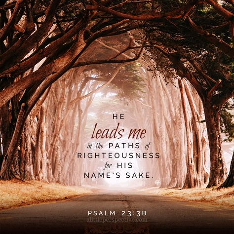 Book Of Psalms, A Course In Miracles, Ayat Alkitab, Scripture Pictures, Psalm 23, Biblical Quotes, Bible Prayers, Favorite Bible Verses, Read Bible