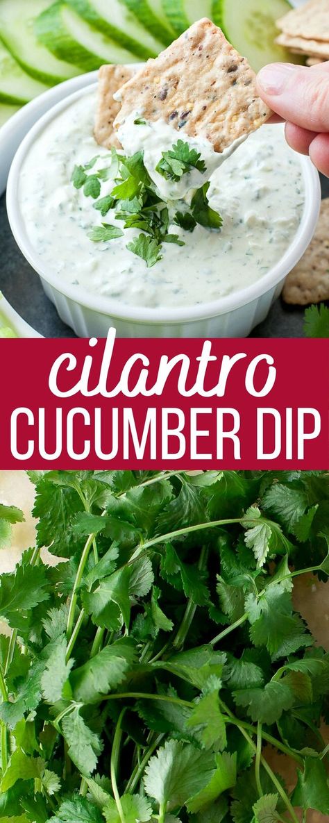 cilantro cucumber yogurt dip with chips Cucumber Dip Recipe, Cucumber Dip, Healthy Appetizer, Yogurt Dip, Party Appetizers Easy, Party Appetizer, Buffalo Chicken Dip, Snacks Für Party, Latin Food