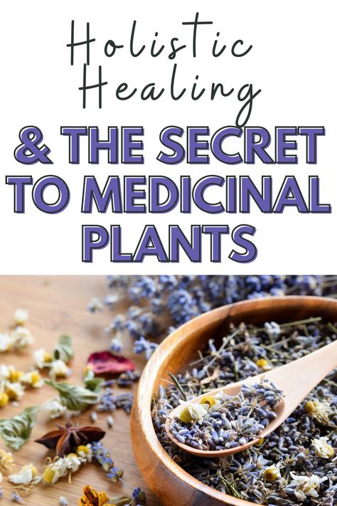 Holistic Healing and the Secret to Medicinal Plants Holistic Herbs, Herbs For Health Medicine, Healing Herbs Medicine Natural Remedies, Holistic Herbs Herbal Medicine, Holistic Medicine Natural Treatments, Medicine Garden Healing Herbs, Natural Medicine Recipes, Holistic Nursing, Herbal Medicine Books