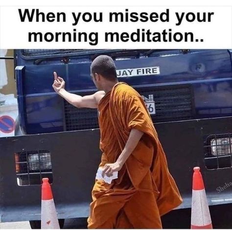 When you missed your morning meditation #spiritual #meditation Health Memes, Morning Meditation, Funny Relatable Quotes, E Card, Work Humor, Bratislava, Love And Light, Bones Funny, Relatable Quotes