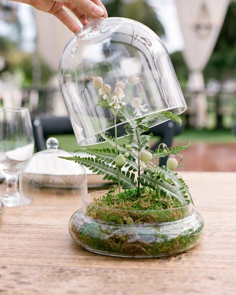 Terrarium Wedding Centerpiece, Family Style Table, Moss Wedding, Terrarium Centerpiece, Terrarium Wedding, Martha Weddings, Zoo Wedding, Family Style Dinner, Low Centerpieces