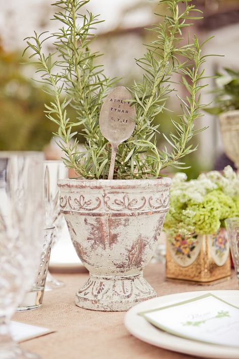 Herb Wedding Centerpieces, Rehearsal Dinner Centerpieces, Herb Centerpieces, Rustic Rehearsal Dinners, Herb Wedding, Wildflower Centerpieces, Rustic Table Centerpieces, Outdoor Bridal Showers, White Floral Centerpieces