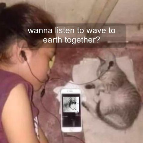 Wave To Earth, Dark Forest Aesthetic, Earth's Core, Funny Profile, Reasons To Live, Funny Profile Pictures, My Vibe, Reaction Pictures, Cool Bands