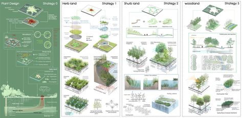 Cell Growth Dish – Brownfield Landscape Ecological Restoration Design | ASLA 2022 Student Awards Landscape Diagram, Landscape Architecture Diagram, Architecture Drawing Presentation, Presentation Board Design, Urban Design Concept, Ecology Design, Concept Models Architecture, Architecture Portfolio Design, Architecture Concept Diagram