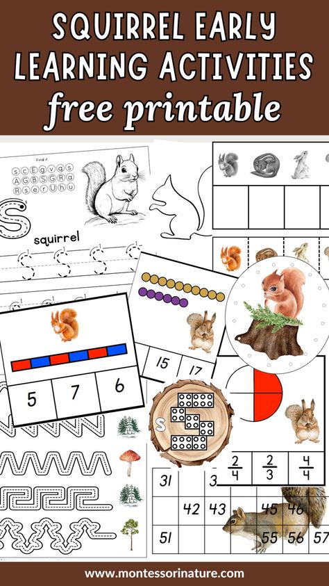 This Montessori-inspired early learning printable for preschool students is packed with adorable squirrel-themed activities! These engaging and hands-on activities are designed to cultivate curiosity and develop essential fine motor skills, while also introducing children to important concepts such as counting, letter formation, and even learning about the fascinating life cycle of squirrels. Squirrel Fine Motor Activities, Squirrel Theme Preschool, Squirrel Activities For Preschoolers, Squirrel Preschool, Printable For Preschool, Plant Adaptations, Nature Printables, Free Educational Printables, Transitional Kindergarten