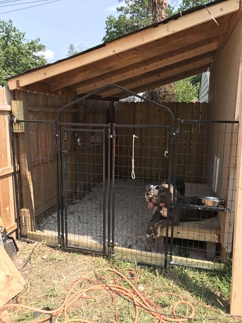 Building A Dog Kennel, Kennel Ideas Outdoor, Dog Backyard, Dog Kennel Ideas, Dog Kennel Designs, Diy Dog Kennel, Outdoor Dog House, Kennel Ideas, Dog Spaces