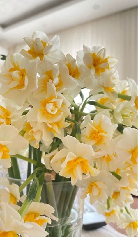 Dafodill Bouquet, Daffodil Bouquet, Flower Boquet, Beautiful Flowers Images, Flower Guide, Nothing But Flowers, Wallpaper Nature Flowers, Flower Therapy, Beautiful Bouquet Of Flowers