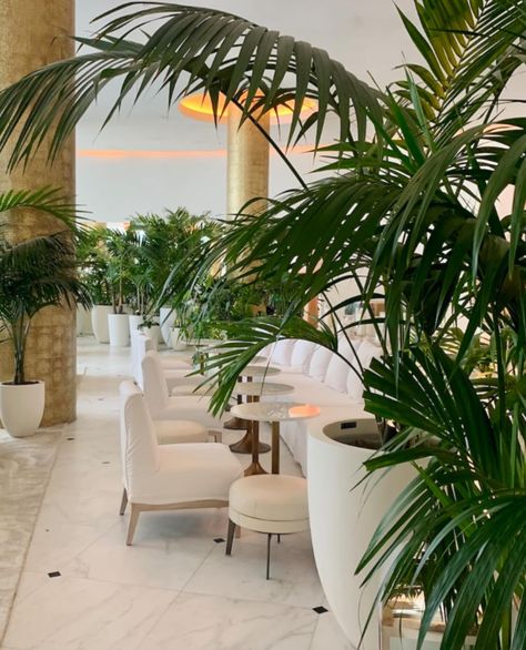 Did you ever dream of being able to experience the amazing smell of the 1 Hotel in Miami in your home? Well, now you can!🌴 #miami #1hotelsouthbeach Miami Hotel Aesthetic, The 1 Hotel, Miami Hotel, Hotel Aesthetic, Edition Hotel, Miami Condo, Miami Hotels, 1 Hotel, Branding Inspo