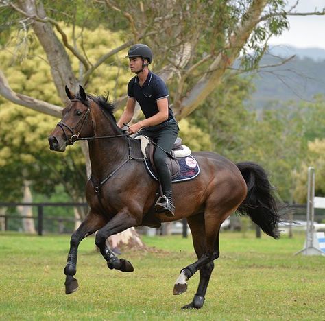 Horse Riding Pose Reference, Horse Riding Reference, Horse With Rider, George Morris, Horse Magazine, Horse Names, Dressage Horses, Brown Horse, Horse Blankets