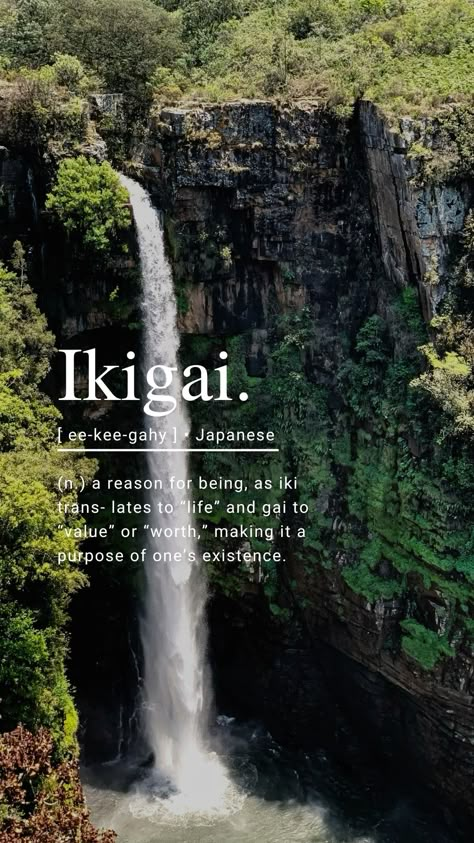 Your Ikigai is your reason for being. Discover your Ikigai and unlock your true potential.  #ikigai #unlockyourpotential #unlockyourconfidence #quotesaboutlife #inspirationallifequotes #selfhelp #tipsandhacks #mindfulliving #bookinspiration #readingchallenge Ikigai Book Aesthetic, Ikigai Aesthetic, Ikigai Quotes, Ikigai Book, Dolan Twin Quotes, Bible Message, Twin Quotes, Healing Business, Board Themes