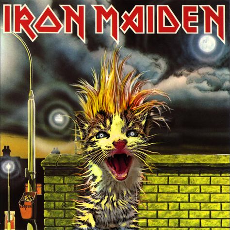 IRON MAIDEN - Iron Maiden Cat Album Covers, Heavy Metal Cat, Metal Cats, Cat Band, Famous Album Covers, Iron Maiden Posters, Cat Rock, Cat Music, Rock Argentino