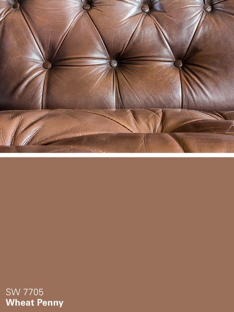 Sherwin-Williams brown paint color – Wheat Penny (SW 7705) Man Cave Paintings, Orange Paint Colors, Brown Paint Colors, Living Room Decor Furniture, Paint Color Inspiration, Home Decor Colors, Sherwin Williams Paint Colors, Orange Paint, Romantic Colors