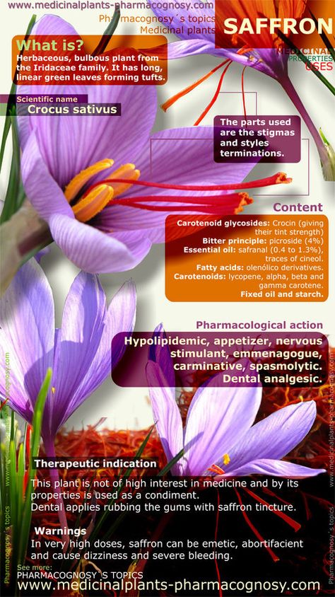 Saffron flowers benefits. Infographic. Summary of the general characteristics of the Saffron plant. Medicinal properties, benefits and uses more common of Saffron. http://www.medicinalplants-pharmacognosy.com/herbs-medicinal-plants/saffron/benefits-infographic/ Saffron Plant, Saffron Benefits, Astuces Diy, Healing Plants, Healing Herbs, Medicinal Herbs, Health Info, Medicinal Plants, Natural Medicine