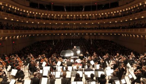 Orchestra Concerts, Vienna Philharmonic, Rosa Diaz, Board Members, Violin Lessons, Carnegie Hall, Music Student, Concert Photography, Symphony Orchestra