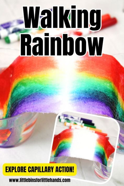 Grow A Rainbow Experiment Walking Rainbow Experiment, Grow A Rainbow, Rainbow Experiment, Walking Rainbow, Science Vocabulary, Steam Projects, Rainbow Paper, Washable Markers, Journal Writing Prompts