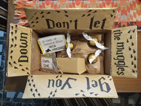 Harry Potter Christmas Presents, Harry Potter Themed Presents, Harry Potter Birthday Presents, Harry Potter Care Package, Harry Potter Handmade Gifts, Harry Potter Box Diy, Harry Potter Basket, Harry Potter Gift Wrapping Ideas, Harry Potter Present Ideas