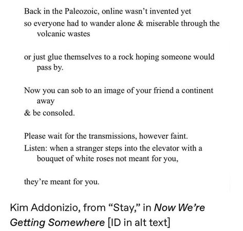 Feral Quotes, Kim Addonizio, Stay Sane, Literature Quotes, Poetry Poem, Melting Pot, Poetry Words, Lettering Quotes, Poem Quotes