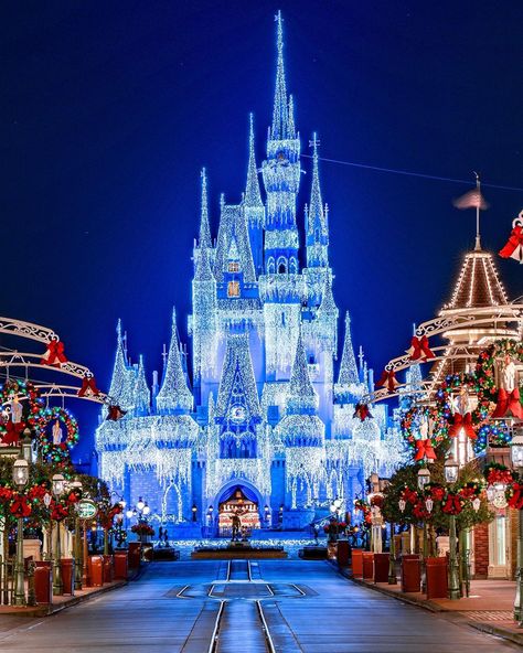 soaRNaroundDisney💫 on Instagram: “Easily my favorite picture I’ve ever taken ❤️ #christmasinjuly” Castle Christmas, Cinderella Castle, Favorite Picture, Disney Christmas, Christmas In July, Christmas Joy, Christmas Pictures, Christmas Wallpaper, Disney Wallpaper